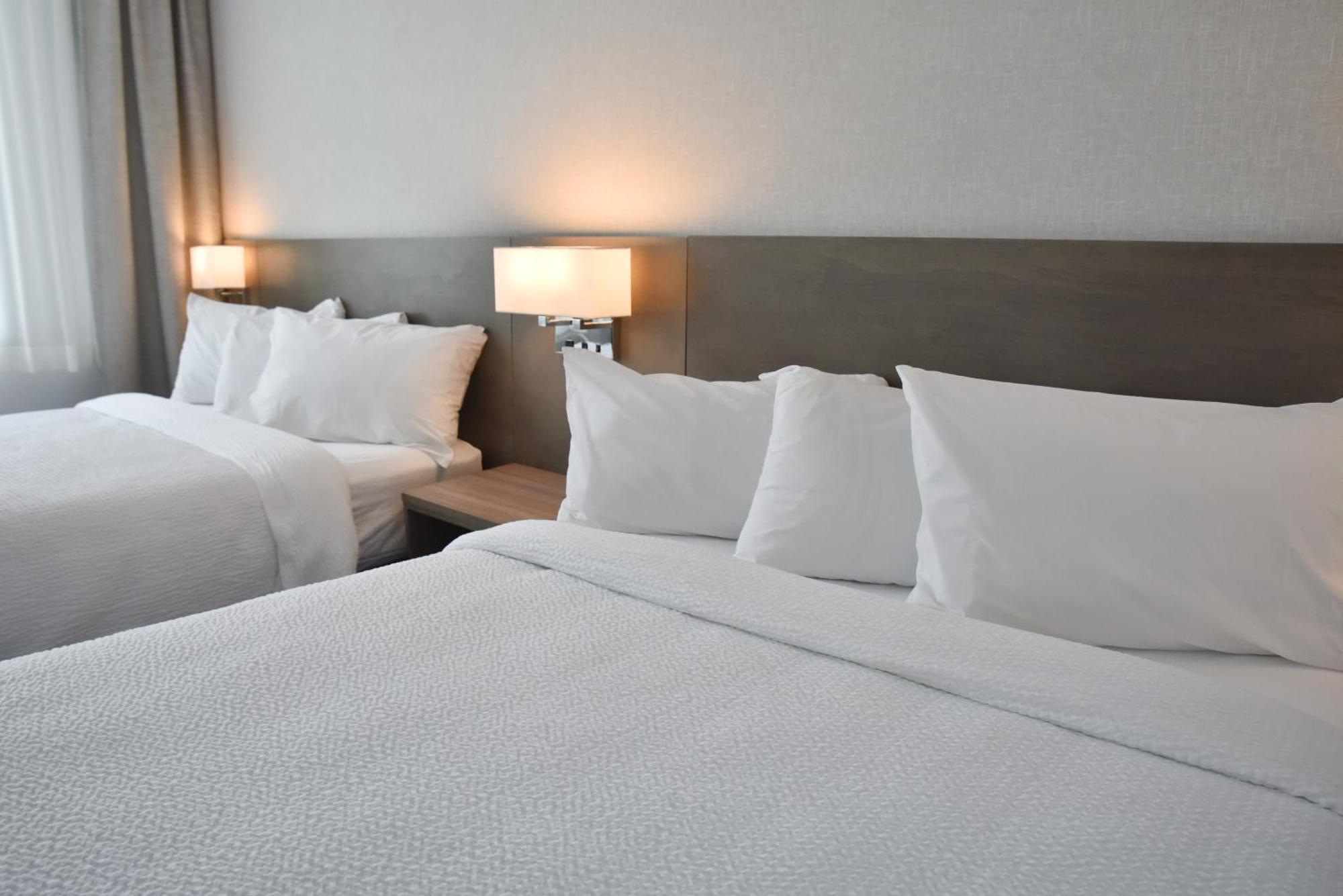 Repotel לוויס מראה חיצוני תמונה