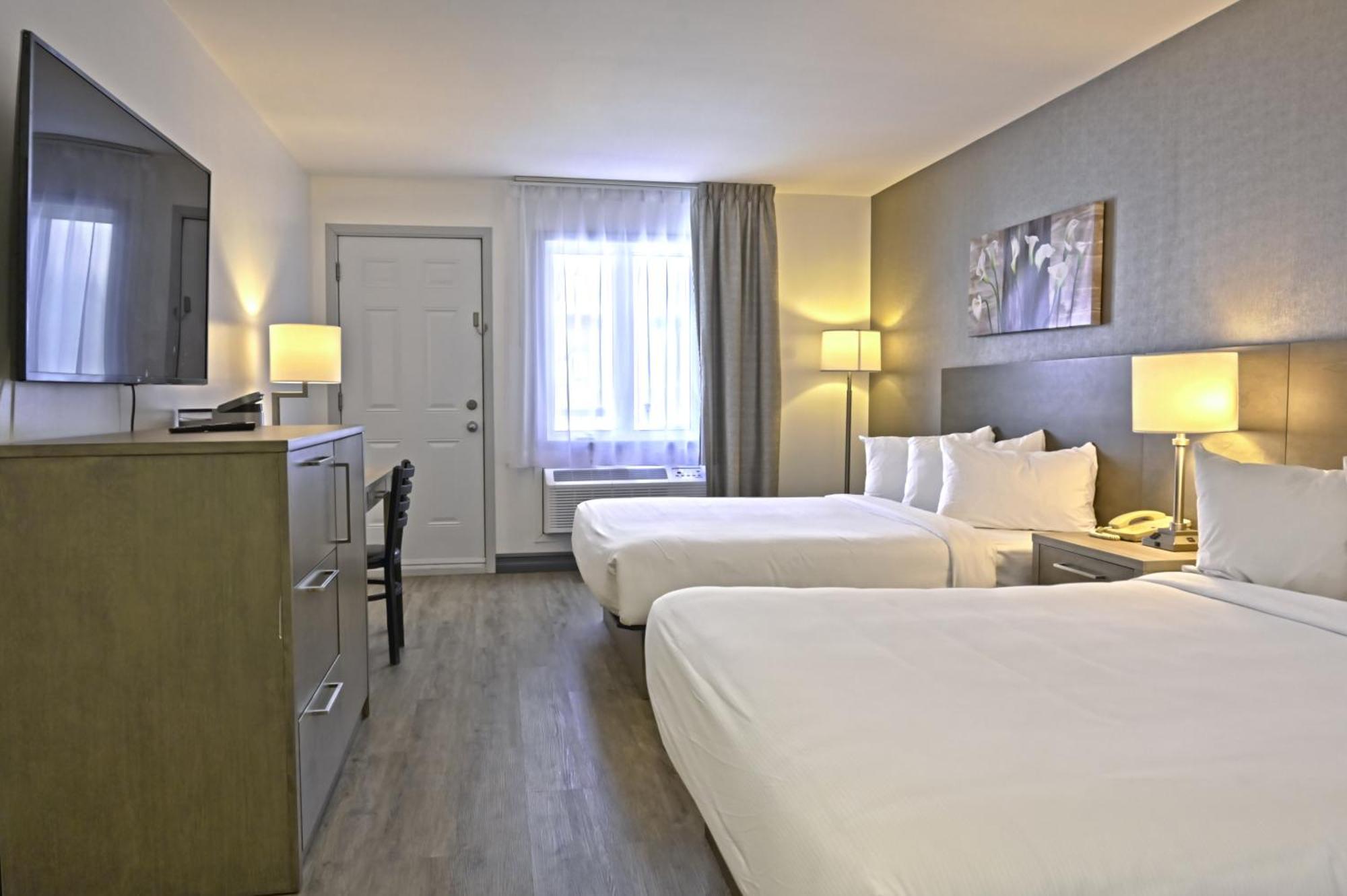 Repotel לוויס מראה חיצוני תמונה