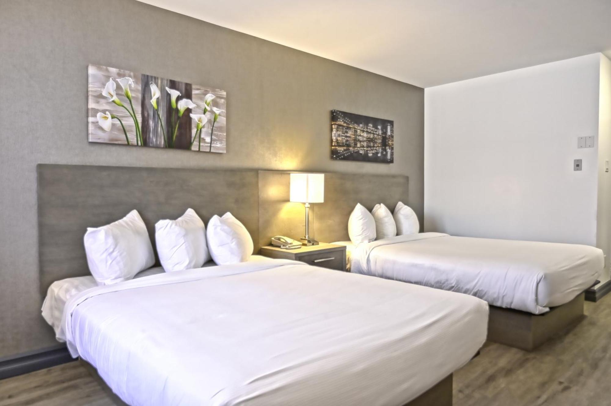 Repotel לוויס מראה חיצוני תמונה