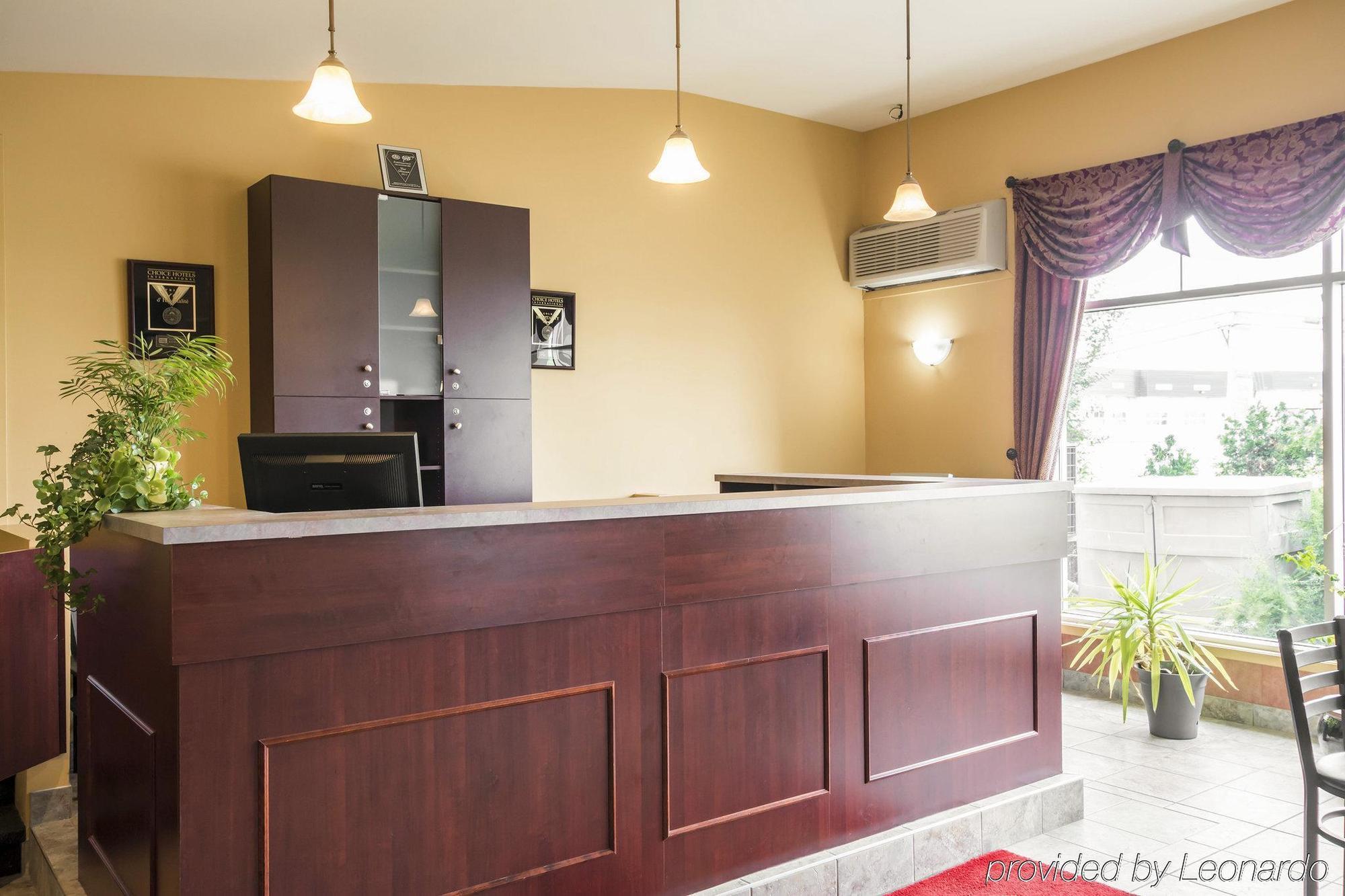 Repotel לוויס מראה חיצוני תמונה